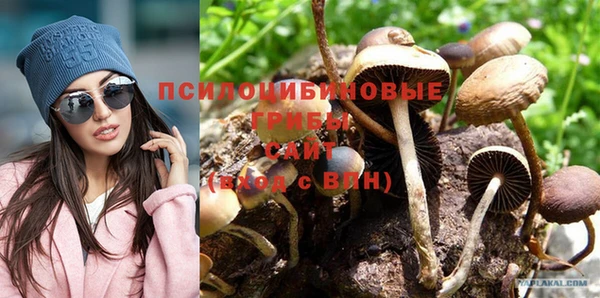 круглые Аркадак