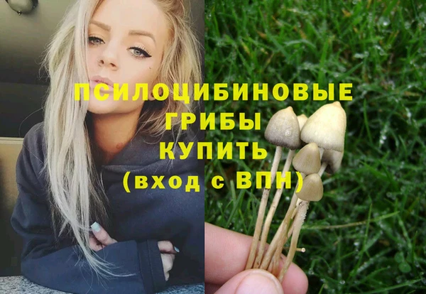 индика Ладушкин