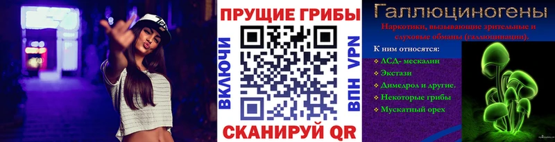 OMG Перевоз Галлюциногенные грибы мухоморы