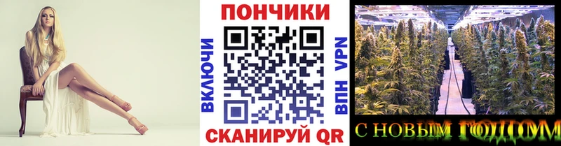 Канабис гибрид Перевоз